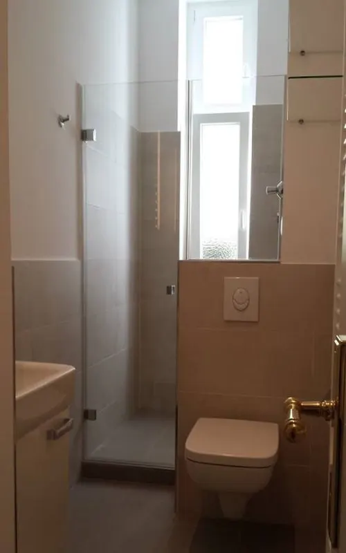 Alcove shower with a glass door next to the toilet